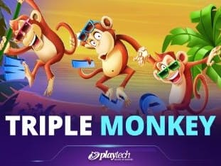 Triple Monkey (1) game cover